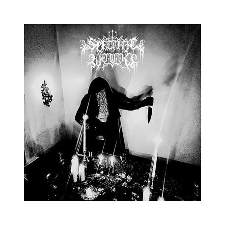 SPECTRAL WOUND - Songs of Blood and Mire, LP [black]