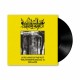 FLUISTERAARS - De Kronieken van het Verdwenen Kasteel II - Nergena, 10"LP (Black)