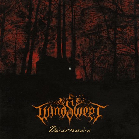 WINDSWEPT – Visionaire, 12"